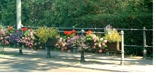 banister with flower boxes